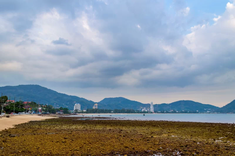 Вид на скалы на песчаном пляже