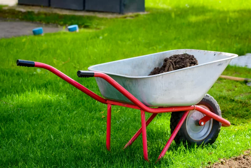 Wheelbarrow with soil on green grass