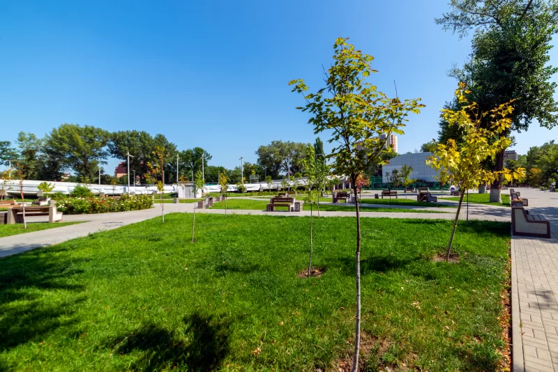 Парковые лесные тропы, природная тропа на открытом воздухе