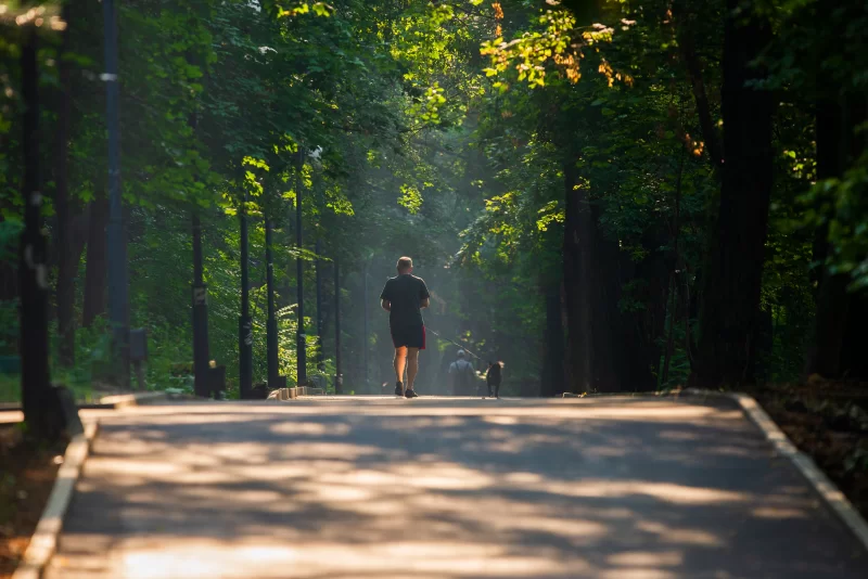 Пешеходная дорожка