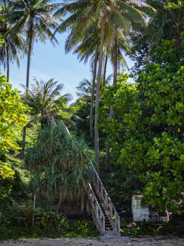 Wooden down way stairs to the Naithon beach