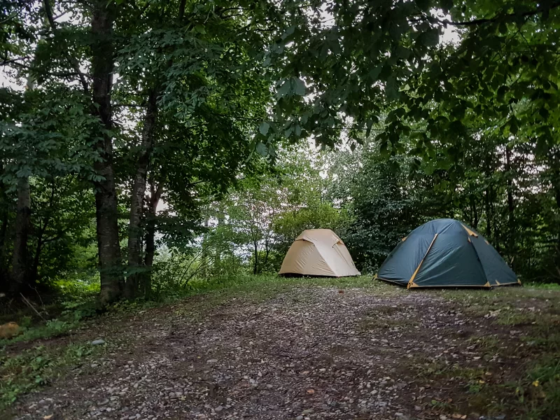 Уединенная лесная стоянка с двумя палатками