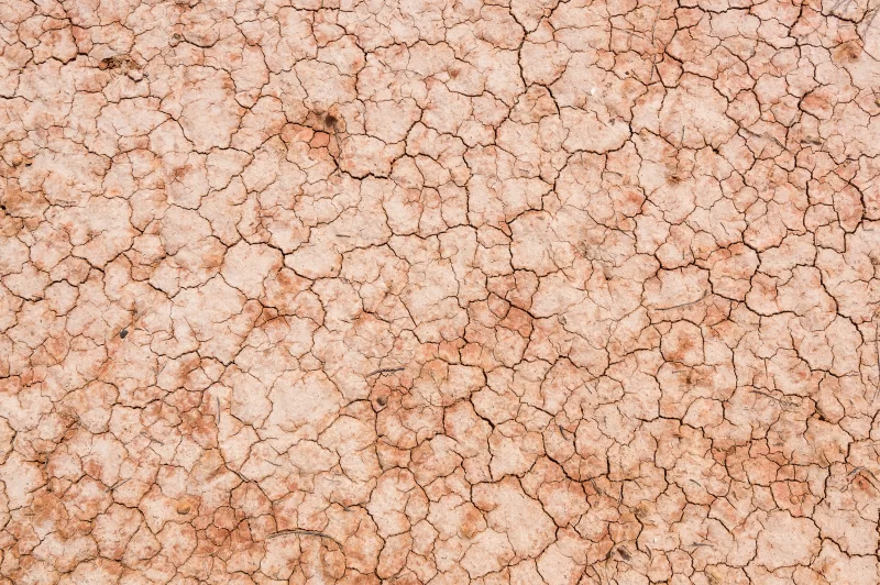 Текстура сухой потрескавшейся земли.