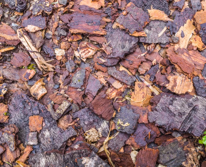 Фоны и текстуры