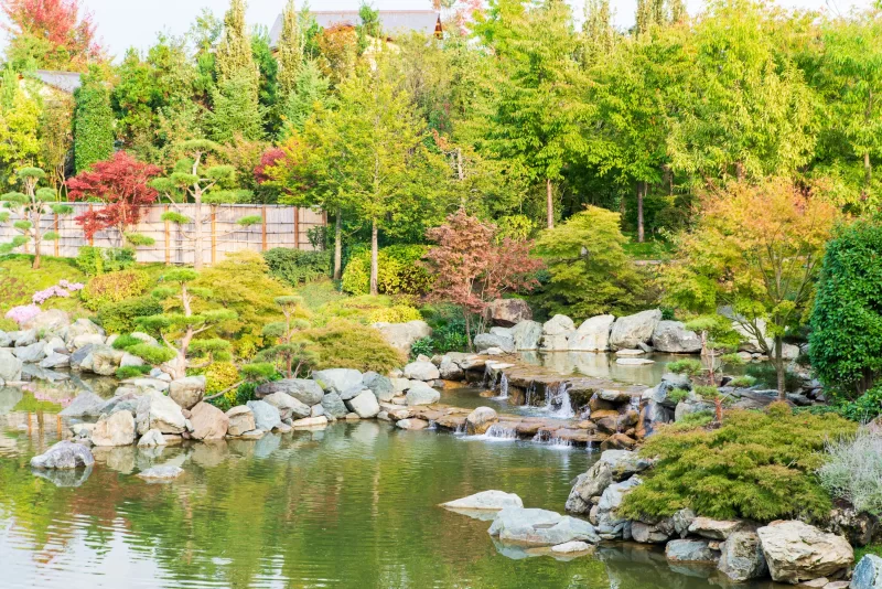 Живописный пруд и водопад в парке Галицкого
