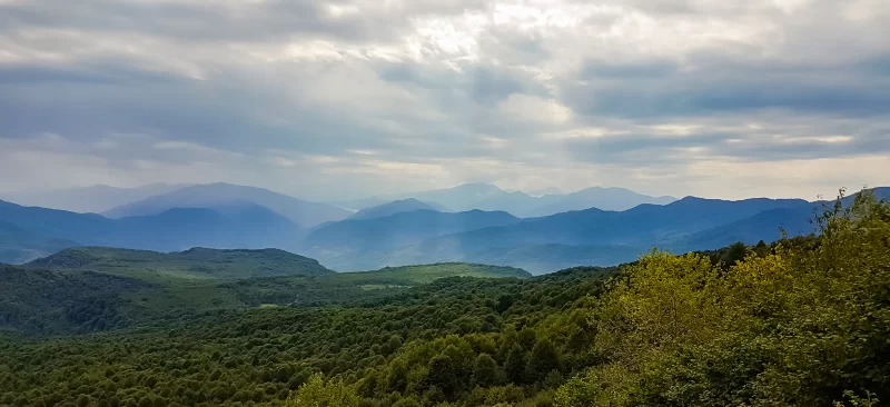Величественный горный пейзаж с туманным небом и зелеными лесами