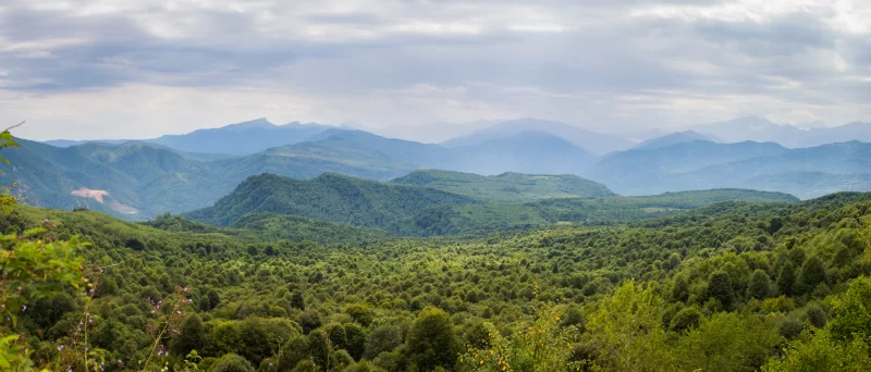 Панорама горного леса в облаках