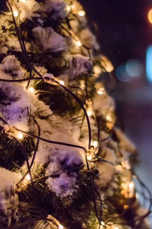 Рождественская елка, украшенная гирляндами в снегу