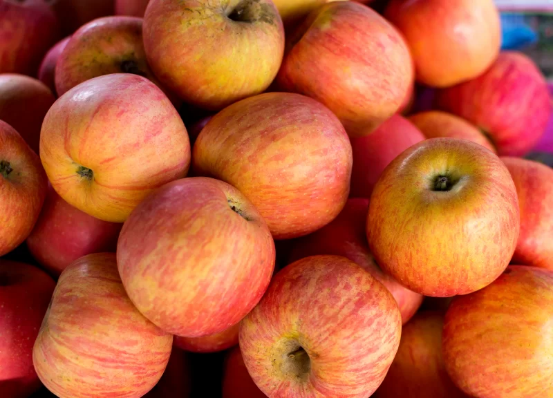 Крупный план спелых красных и желтых яблок, готовых к употреблению