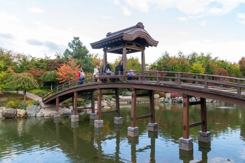 Японский сад: мост, озеро и осень