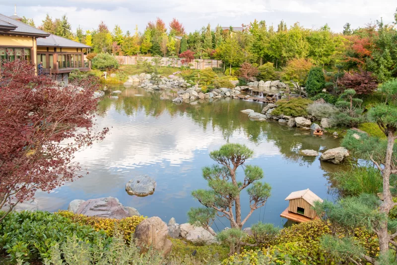 Японский садовый пруд в парке Галицкого