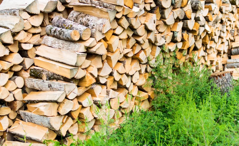 Дрова сложены для отопления