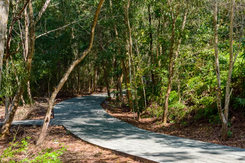 Парк весной