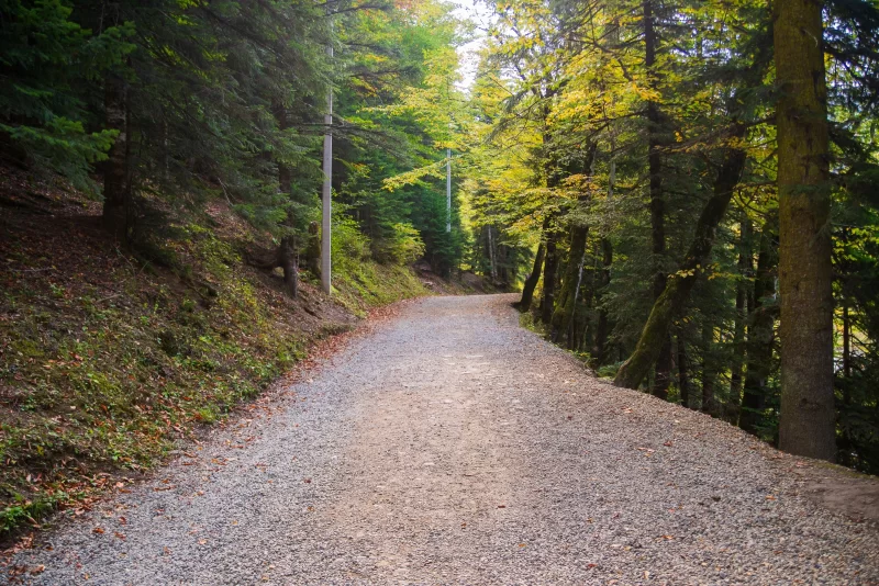 Гравийная дорога через лес Гузерипль