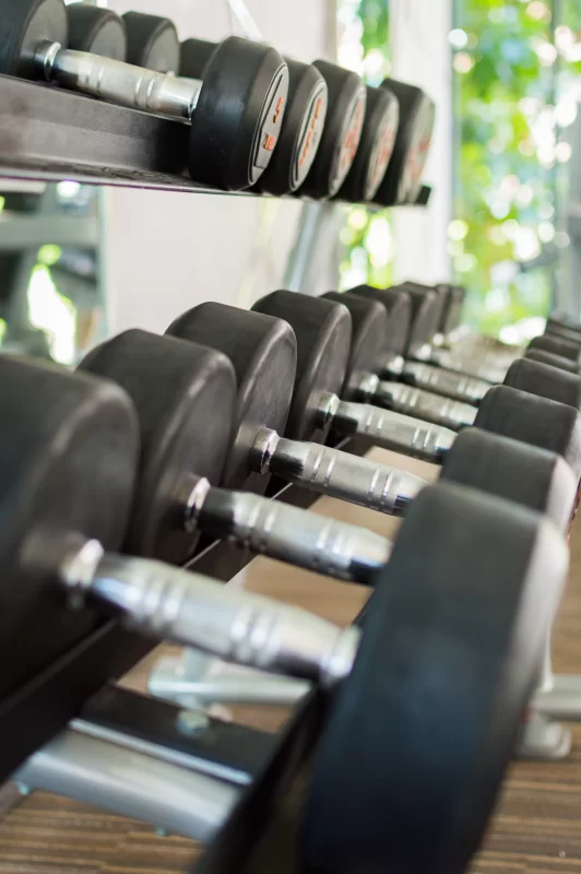 Rows of dumbbells in the modern gym
