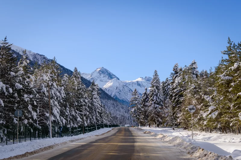 Зимний горный пейзаж: дорога сквозь заснеженный лес к величественным вершинам