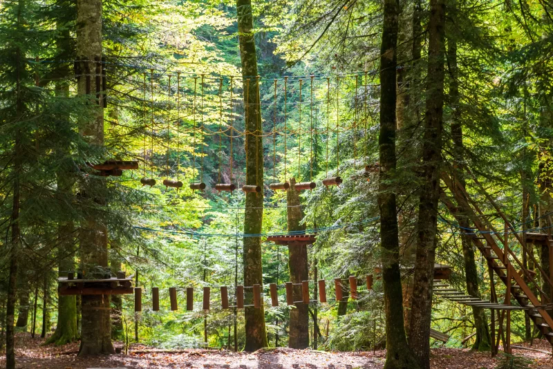 Rope park in the forest