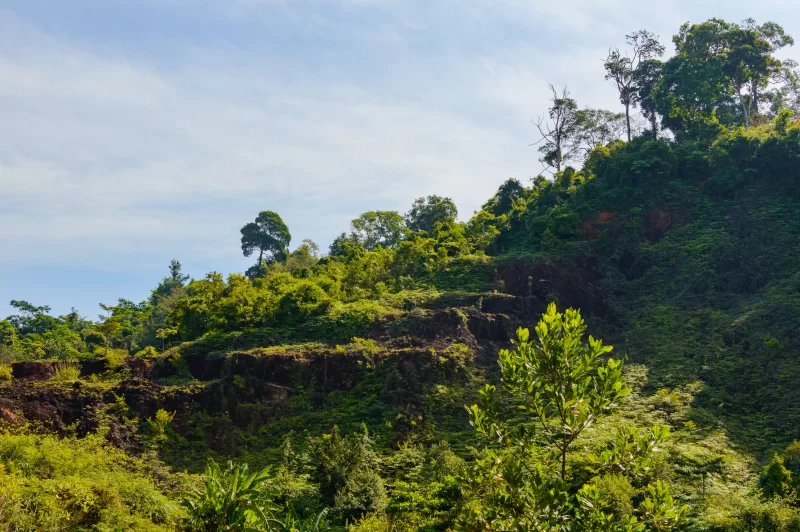 Летний горный пейзаж