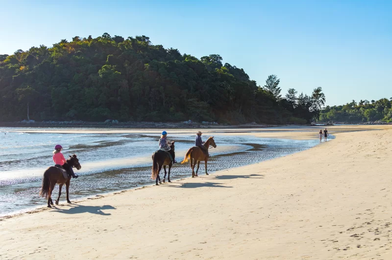 People riding on horses at the beach