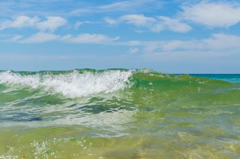 Tropical sea wave close up view