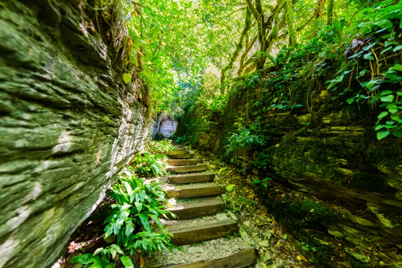 Каменные и деревянные лестницы в таинственном лесу
