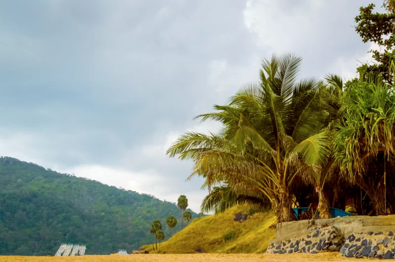 Красивый пляж с гранитными скалами