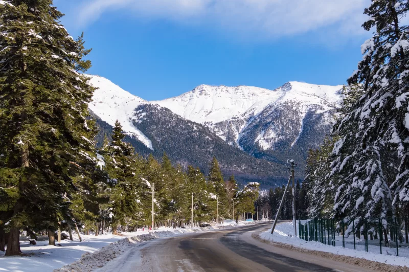 Зимний горный пейзаж с дорогой, заснеженными елями и величественными вершинами
