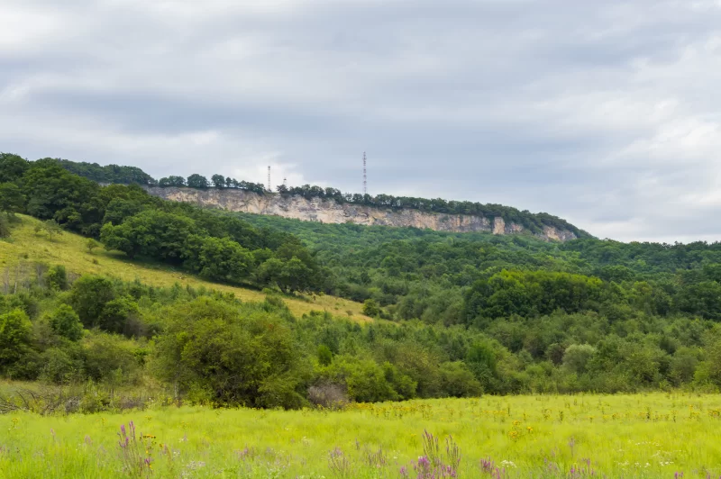 Величественный летний пейзаж: зеленый лес, холмы и скалы под пасмурным небом