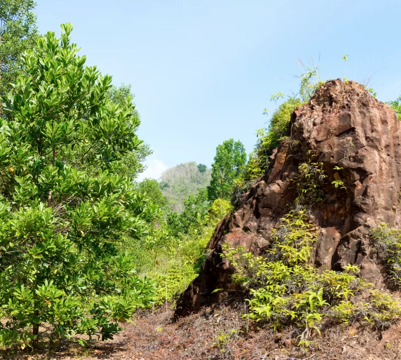 Летний горный пейзаж