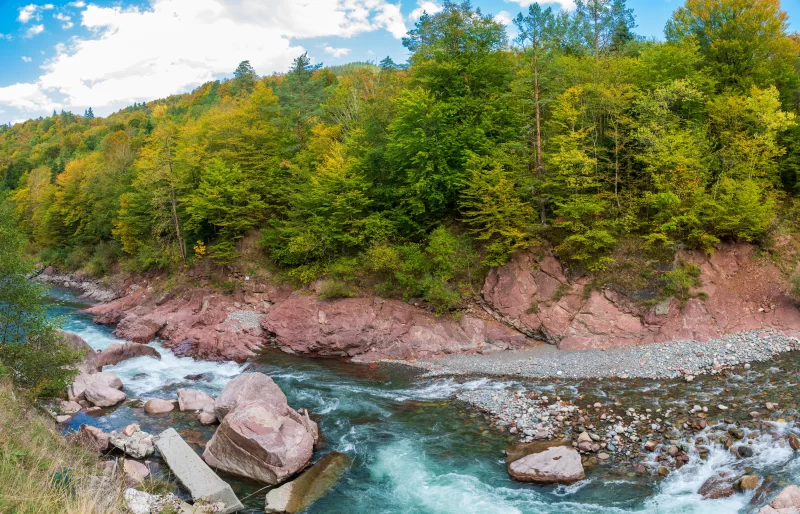 Mountain river in Adygea forest