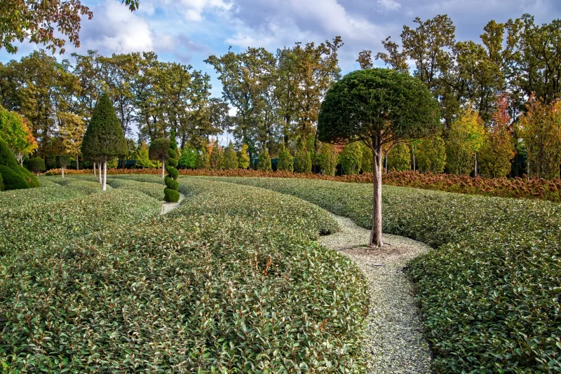 Осенний пейзаж в краснодарском парке Галицкого