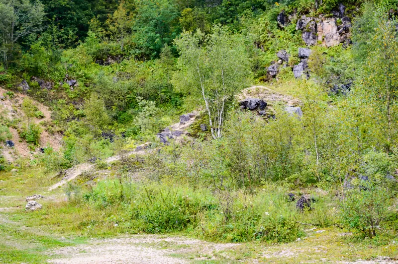 Живописный лесной склон с карьером и скалами