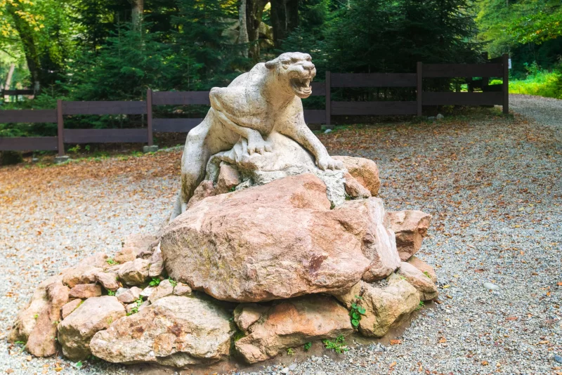 Каменная статуя леопарда в парке в Адыгее