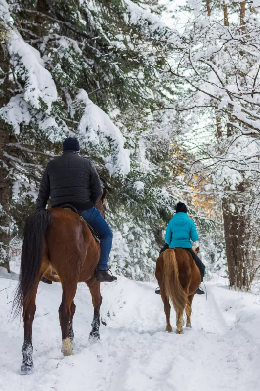 Winter horseback ride through snowy forest