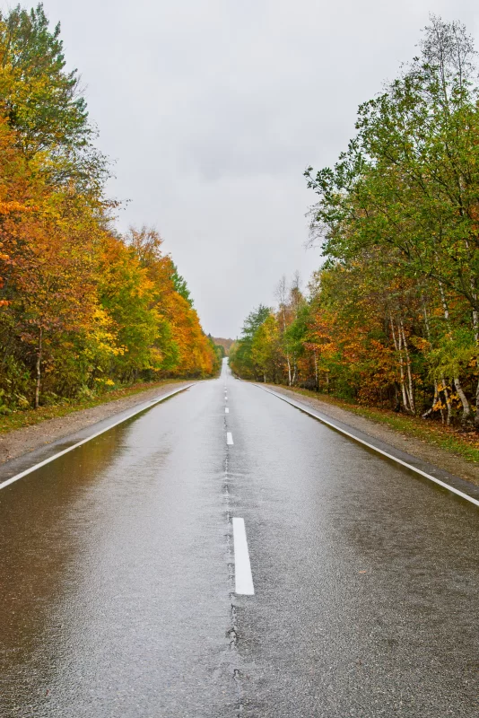 Мокрая осенняя дорога в лесу Адыгеи