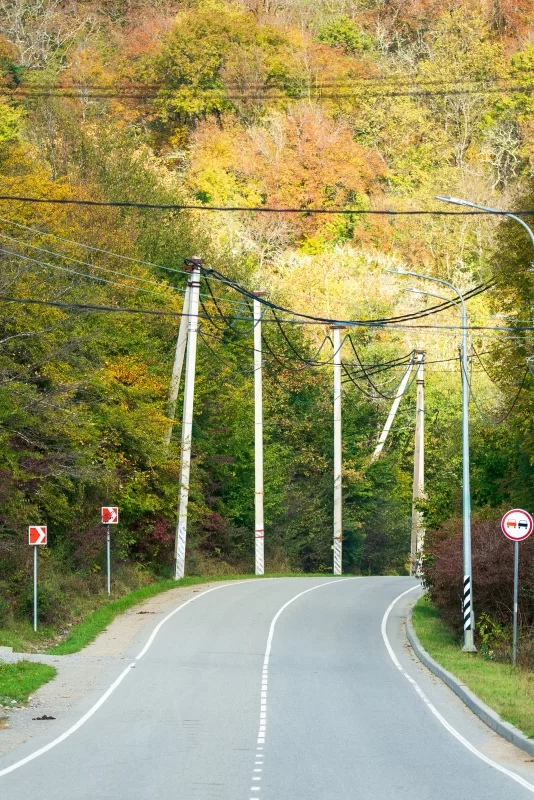 winding road through autumn forest