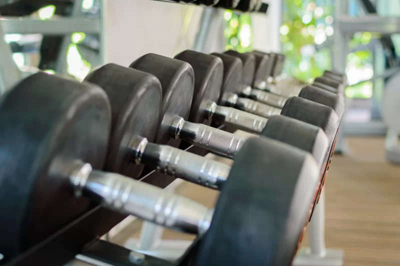 Rows of dumbbells in the modern gym