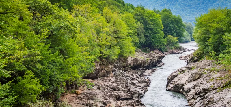 Величественная горная река, петляющая сквозь изумрудный лес и скалистые берега