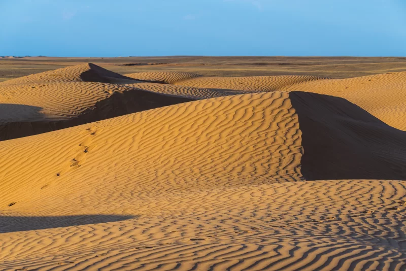 Барханы и дюны в пустыне