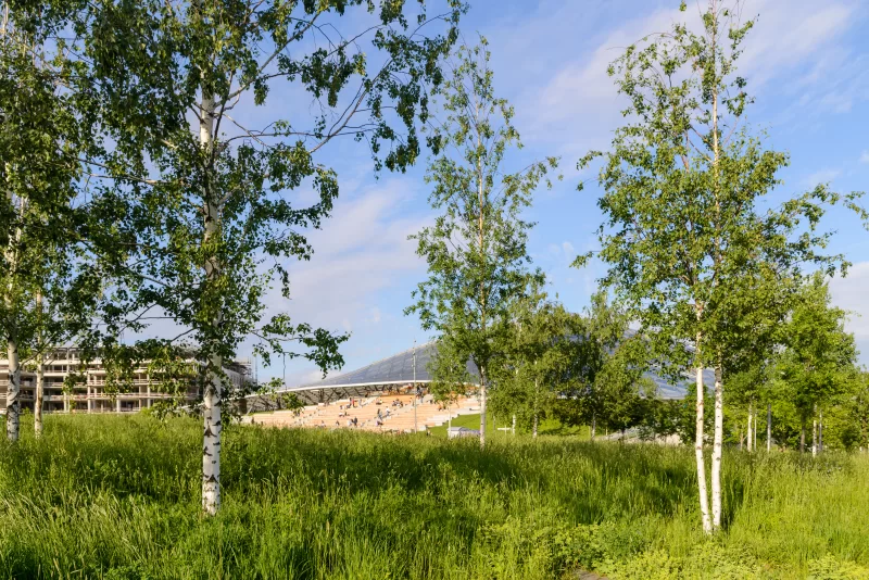 Летний пейзаж парка Зарядье в Москве