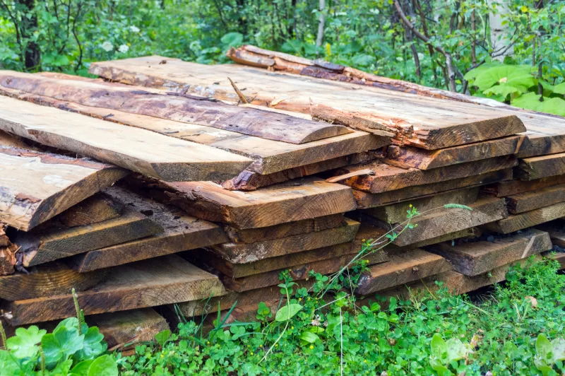 Куча использованных дров