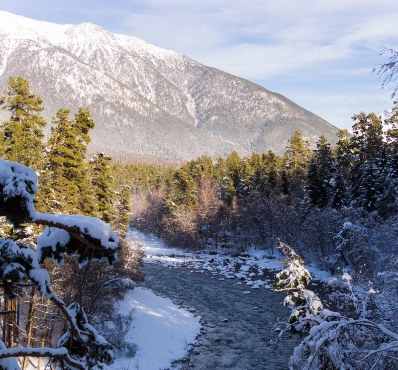 Winter mountain landscape with river and forest
