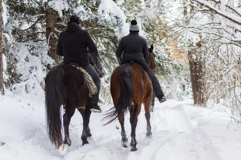 Horseback riding through a snowy winter forest