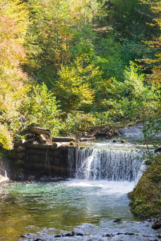 Forest waterfall in Adygea