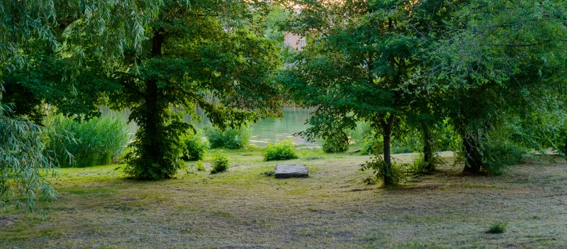 Летний пейзаж на берегу реки