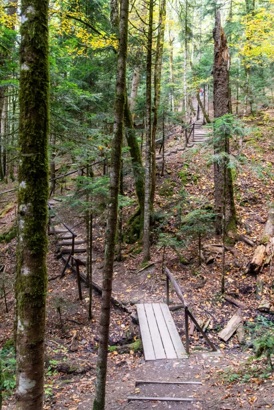 Деревянная тропа в осеннем лесу Адыгеи