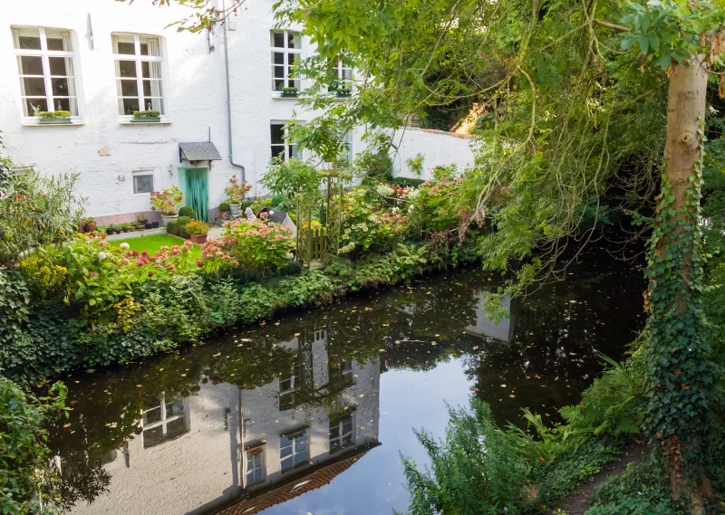 Красивый внутренний двор