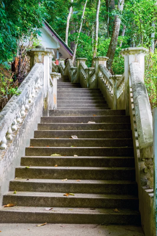 Древняя каменная лестница, ведущая в тропический лес