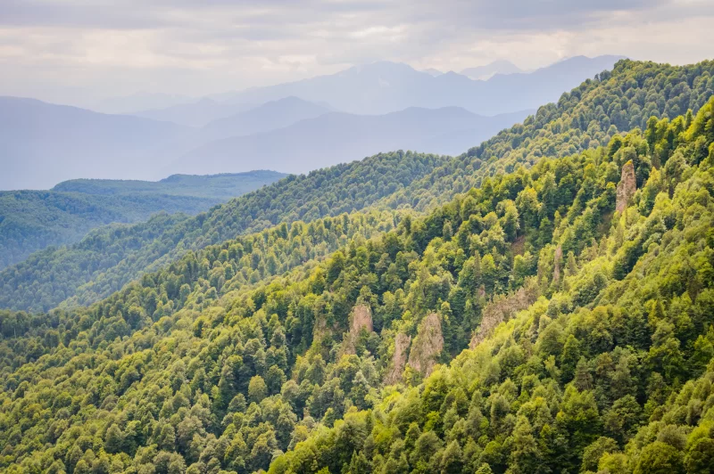 Зеленые горные склоны летом