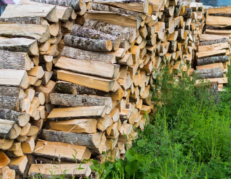 Дрова сложены рядами у зелёной травы